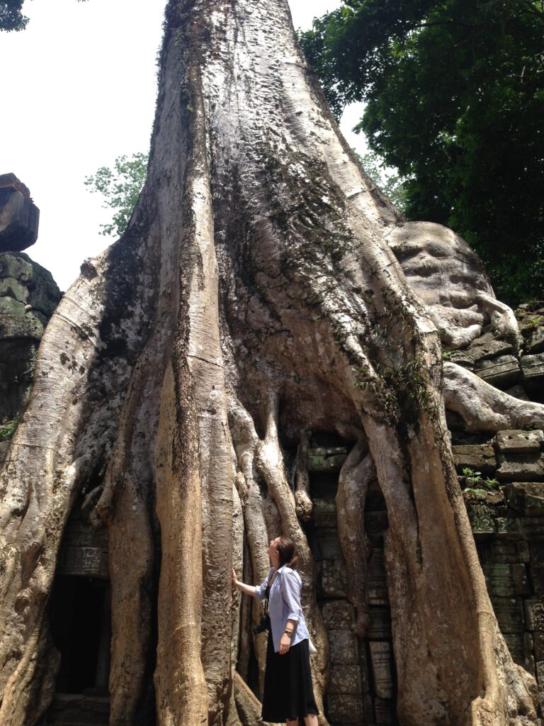 Author touching with one hand and gazing up at thitpok (Tetrameles nudiflora) in Ta Prohm temple near Siem Riep, Cambodia